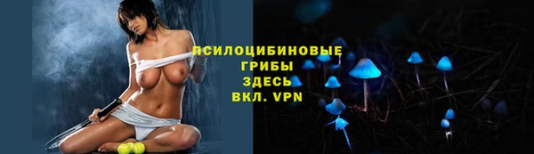 гидра Баксан