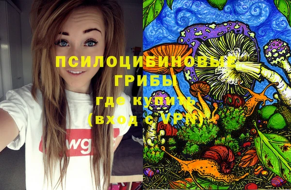 Альфа ПВП Арсеньев